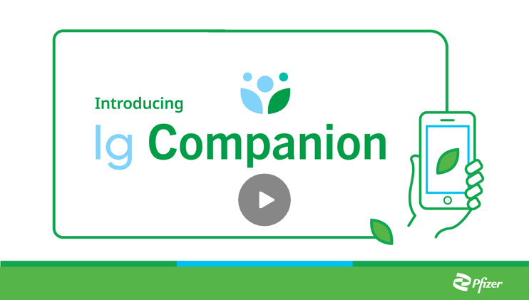 lg companion video link thumbnail